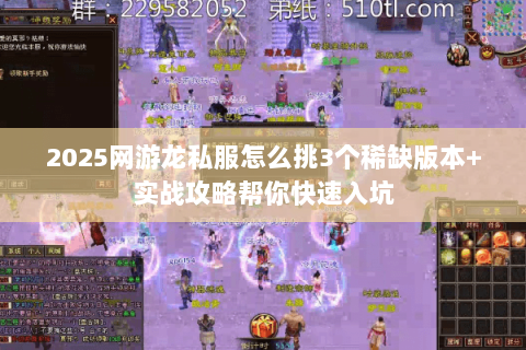 2025网游龙私服怎么挑3个稀缺版本+实战攻略帮你快速入坑