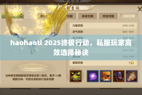 haohaotl 2025终极行动，私服玩家高效选择秘诀