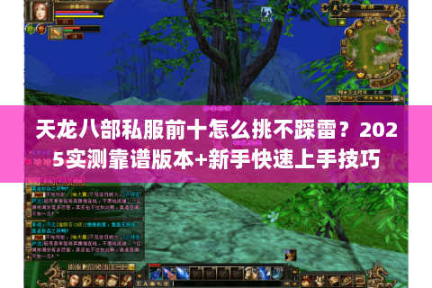 天龙八部私服前十怎么挑不踩雷？2025实测靠谱版本+新手快速上手技巧