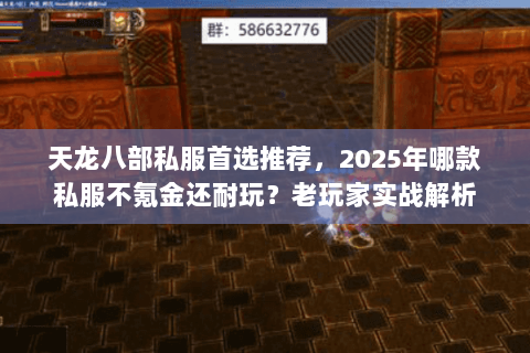 天龙八部私服首选推荐,2025年哪款私服不氪金还耐玩?老玩家实战解析 天龙八部私服首选推荐,2025年哪款私服不氪金还耐玩?老玩家实战解析