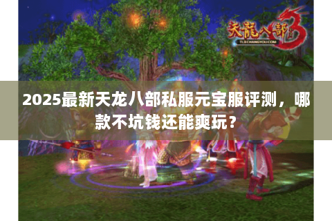 2025最新天龙八部私服元宝服评测，哪款不坑钱还能爽玩？