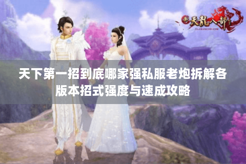 天下第一招到底哪家强私服老炮拆解各版本招式强度与速成攻略