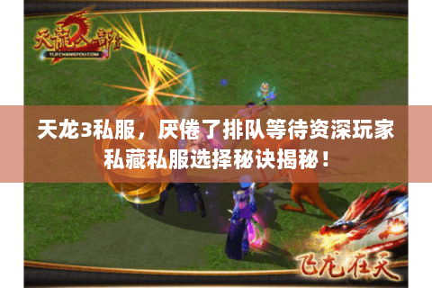 天龙3私服，厌倦了排队等待资深玩家私藏私服选择秘诀揭秘！