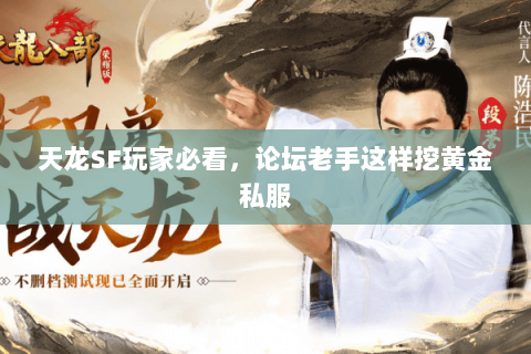 天龙SF玩家必看，论坛老手这样挖黄金私服