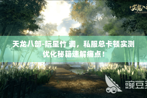 天龙八部-阮星竹 调，私服总卡顿实测优化秘籍速解痛点！