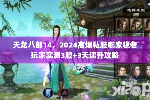 天龙八部14，2024高爆私服哪家稳老玩家实测3服+3天速升攻略