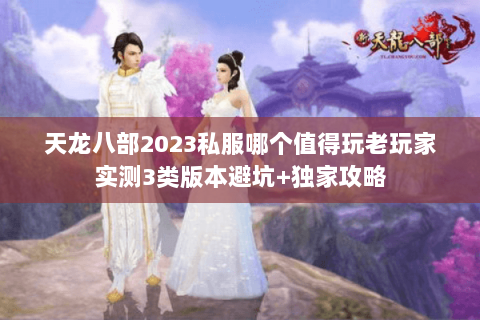 天龙八部2023私服哪个值得玩老玩家实测3类版本避坑+独家攻略