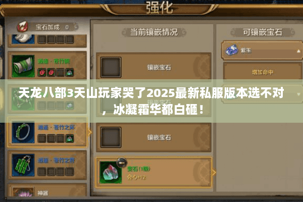 天龙八部3天山玩家哭了2025最新私服版本选不对，冰凝霜华都白砸！