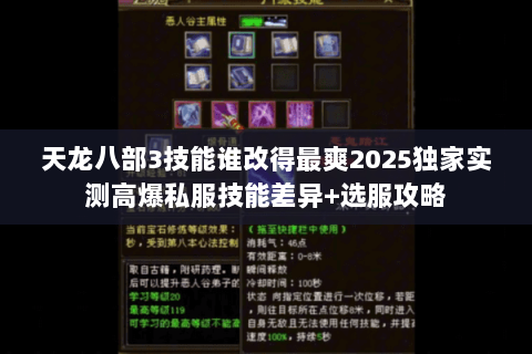 天龙八部3技能谁改得最爽2025独家实测高爆私服技能差异+选服攻略