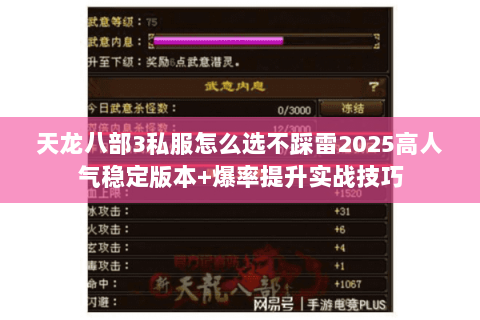 天龙八部3私服怎么选不踩雷2025高人气稳定版本+爆率提升实战技巧