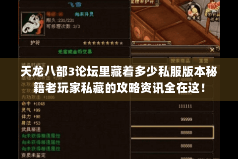 天龙八部3论坛里藏着多少私服版本秘籍老玩家私藏的攻略资讯全在这！