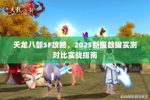 天龙八部SF攻略，2025新服数据实测对比实战指南