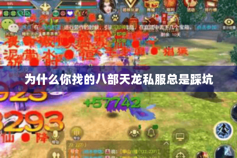 为什么你找的八部天龙私服总是踩坑