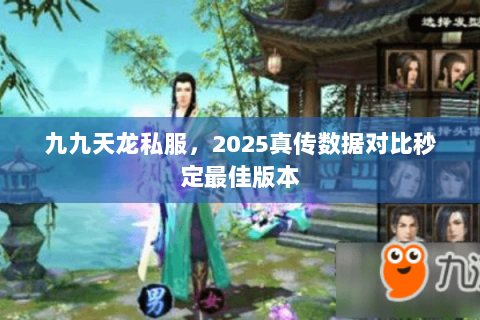 九九天龙私服，2025真传数据对比秒定最佳版本