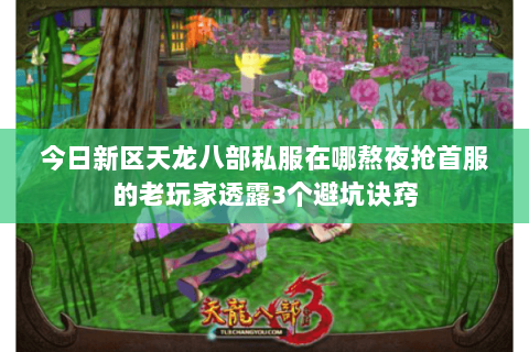 今日新区天龙八部私服在哪熬夜抢首服的老玩家透露3个避坑诀窍