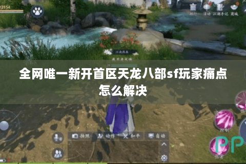 全网唯一新开首区天龙八部sf玩家痛点怎么解决