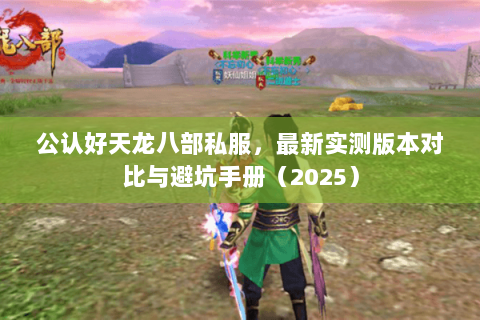 公认好天龙八部私服，最新实测版本对比与避坑手册（2025）