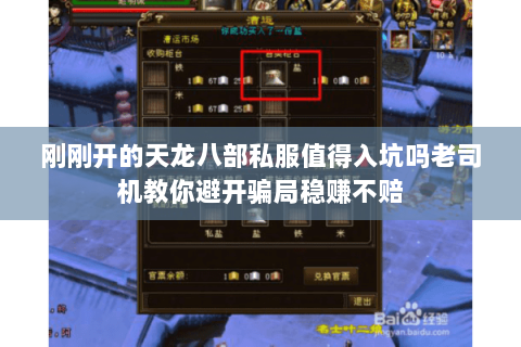 刚刚开的天龙八部私服值得入坑吗老司机教你避开骗局稳赚不赔