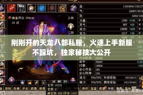 刚刚开的天龙八部私服，火速上手新服不踩坑，独家秘技大公开