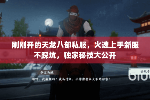 刚刚开的天龙八部私服，火速上手新服不踩坑，独家秘技大公开