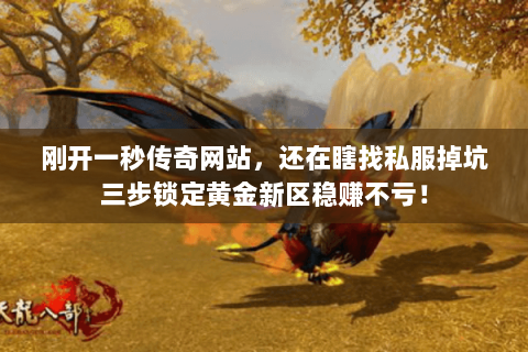 刚开一秒传奇网站，还在瞎找私服掉坑三步锁定黄金新区稳赚不亏！