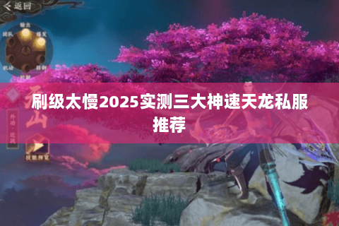 刷级太慢2025实测三大神速天龙私服推荐