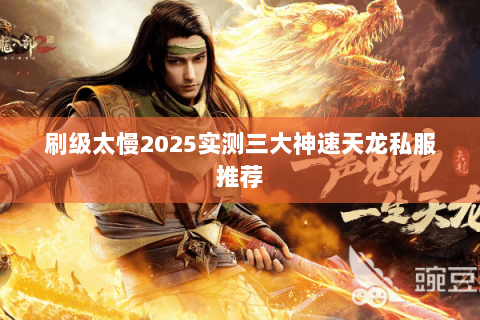 刷级太慢2025实测三大神速天龙私服推荐