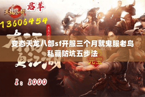 变态天龙八部sf开服三个月就鬼服老鸟私藏防坑五步法