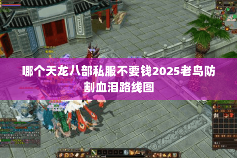 哪个天龙八部私服不要钱2025老鸟防割血泪路线图