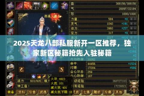 2025天龙八部私服新开一区推荐，独家新区秘籍抢先入驻秘籍