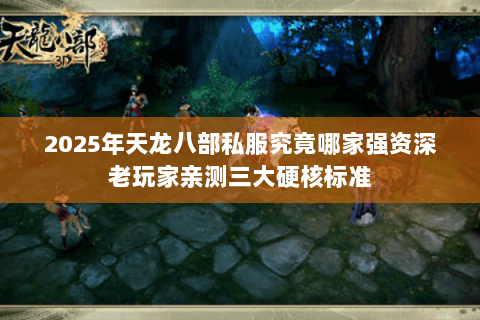2025年天龙八部私服究竟哪家强资深老玩家亲测三大硬核标准 2025年天龙八部私服究竟哪家强资深老玩家亲测三大硬核标准