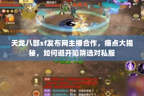 天龙八部sf发布网主播合作，痛点大揭秘，如何避开陷阱选对私服
