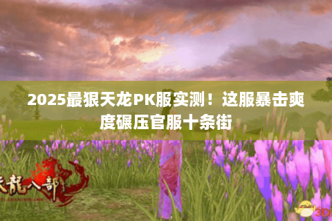 2025最狠天龙PK服实测！这服暴击爽度碾压官服十条街