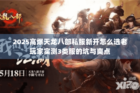 2025高爆天龙八部私服新开怎么选老玩家实测3类服的坑与爽点