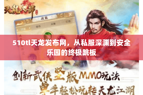 510tl天龙发布网，从私服深渊到安全乐园的终极跳板