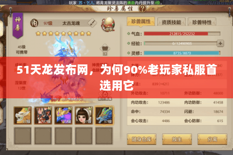 51天龙发布网，为何90%老玩家私服首选用它