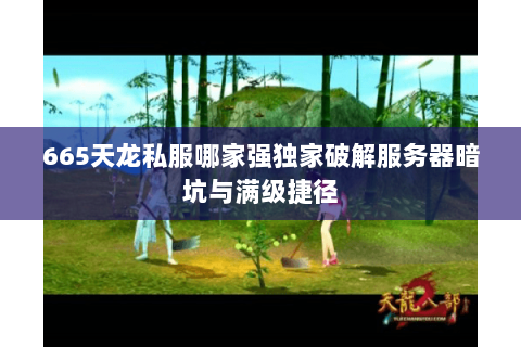 665天龙私服哪家强独家破解服务器暗坑与满级捷径