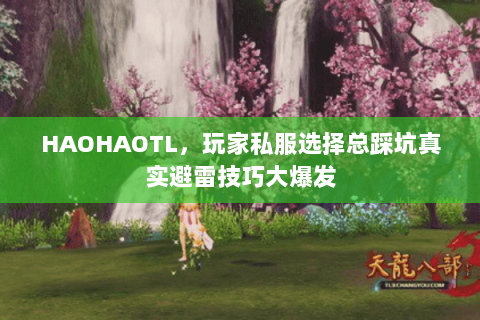 HAOHAOTL，玩家私服选择总踩坑真实避雷技巧大爆发