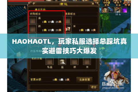 HAOHAOTL，玩家私服选择总踩坑真实避雷技巧大爆发