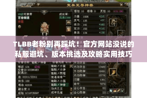 TLBB老粉别再踩坑!官方网站没说的私服避坑、版本挑选及攻略实用技巧 TLBB老粉别再踩坑!官方网站没说的私服避坑、版本挑选及攻略实用技巧