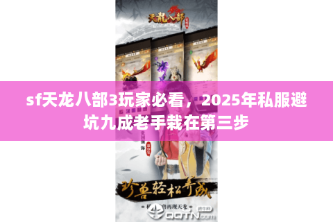 sf天龙八部3玩家必看,2025年私服避坑九成老手栽在第三步 sf天龙八部3玩家必看,2025年私服避坑九成老手栽在第三步