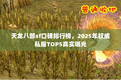 天龙八部sf口碑排行榜，2025年权威私服TOP5真实曝光