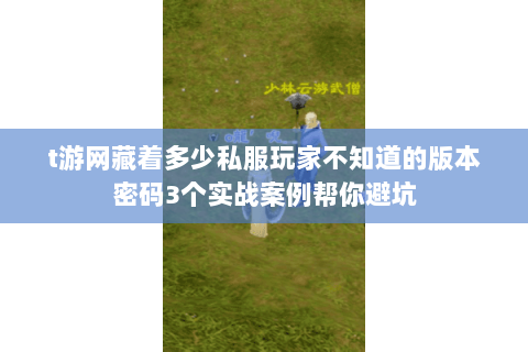t游网藏着多少私服玩家不知道的版本密码3个实战案例帮你避坑