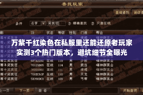 万紫千红染色在私服里还能还原老玩家实测3个热门版本，避坑细节全曝光