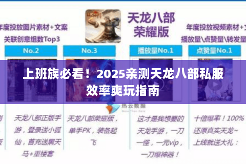 上班族必看！2025亲测天龙八部私服效率爽玩指南