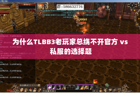 为什么TLBB3老玩家总绕不开官方 vs 私服的选择题