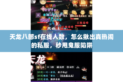 天龙八部sf在线人数，怎么揪出真热闹的私服，秒甩鬼服陷阱