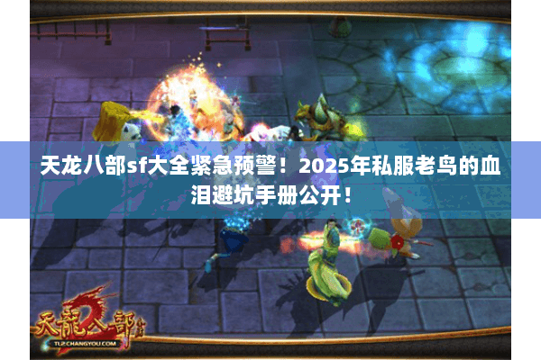 天龙八部sf大全紧急预警！2025年私服老鸟的血泪避坑手册公开！