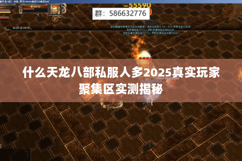 什么天龙八部私服人多2025真实玩家聚集区实测揭秘