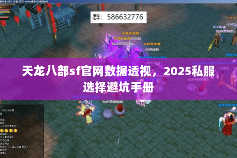 天龙八部sf官网数据透视，2025私服选择避坑手册